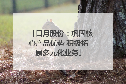 日月股份：巩固核心产品优势 积极拓展多元化业务