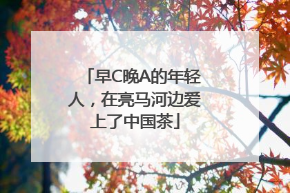 早C晚A的年轻人，在亮马河边爱上了中国茶