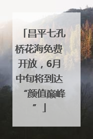 昌平七孔桥花海免费开放，6月中旬将到达“颜值巅峰”