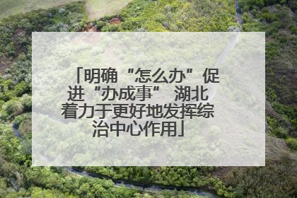 明确“怎么办”促进“办成事” 湖北着力于更好地发挥综治中心作用