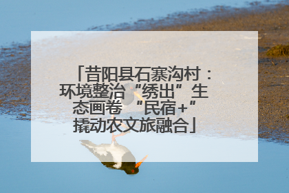 昔阳县石寨沟村：环境整治“绣出”生态画卷 “民宿+”撬动农文旅融合