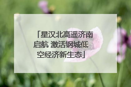 星汉北高遥济南启航 激活钢城低空经济新生态