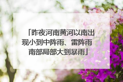 昨夜河南黄河以南出现小到中阵雨、雷阵雨 南部局部大到暴雨