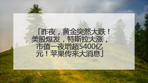 昨夜，黄金突然大跌！美股爆发，特斯拉大涨，市值一夜增超5400亿元！苹果传来大消息