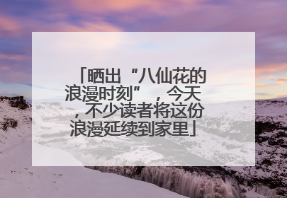 晒出“八仙花的浪漫时刻”，今天，不少读者将这份浪漫延续到家里