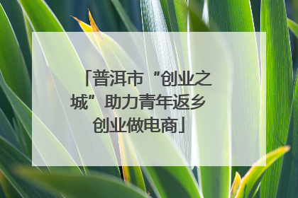 普洱市“创业之城”助力青年返乡创业做电商