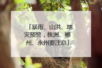 暴雨、山洪、地灾预警，株洲、郴州、永州要注意