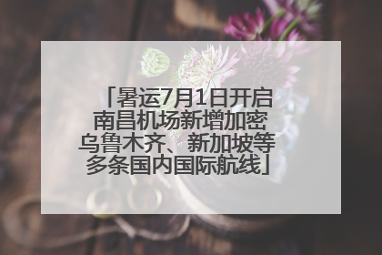 暑运7月1日开启 南昌机场新增加密乌鲁木齐、新加坡等多条国内国际航线