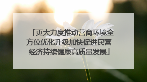 更大力度推动营商环境全方位优化升级加快促进民营经济持续健康高质量发展