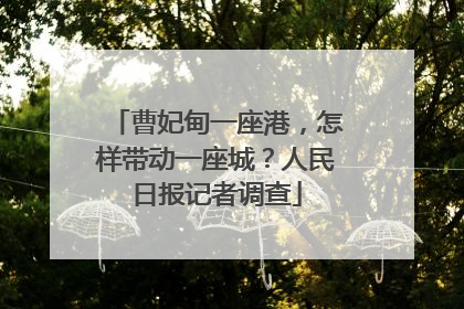 曹妃甸一座港，怎样带动一座城？人民日报记者调查
