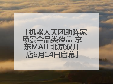 机器人天团助阵家场景全品类覆盖 京东MALL北京双井店6月14日启幕
