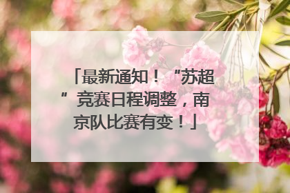 最新通知！“苏超”竞赛日程调整，南京队比赛有变！