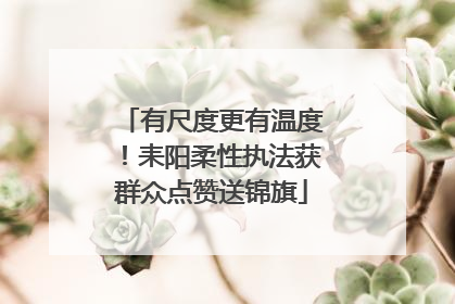 有尺度更有温度！耒阳柔性执法获群众点赞送锦旗