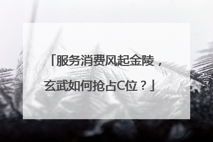 服务消费风起金陵，玄武如何抢占C位？