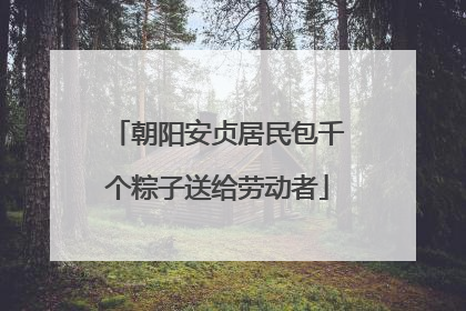 朝阳安贞居民包千个粽子送给劳动者