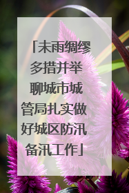 未雨绸缪 多措并举 聊城市城管局扎实做好城区防汛备汛工作