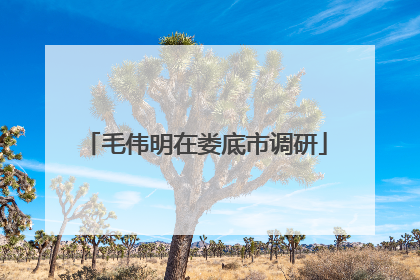 毛伟明在娄底市调研
