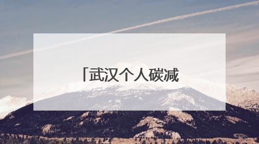 武汉个人碳减排账户从3万暴涨至160万