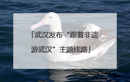 武汉发布“跟着非遗游武汉”主题线路