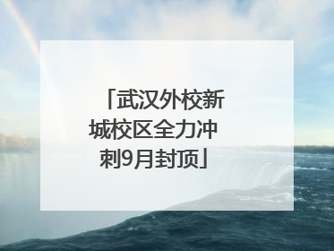 武汉外校新城校区全力冲刺9月封顶