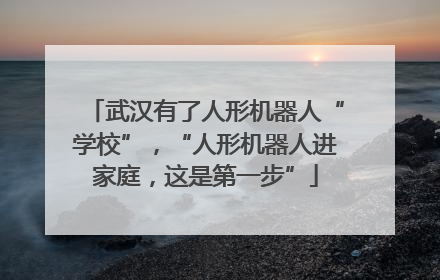 武汉有了人形机器人“学校”，“人形机器人进家庭，这是第一步”