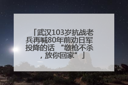 武汉103岁抗战老兵再喊80年前劝日军投降的话 “缴枪不杀，放你回家”