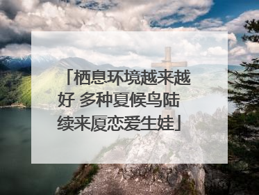 栖息环境越来越好 多种夏候鸟陆续来厦恋爱生娃