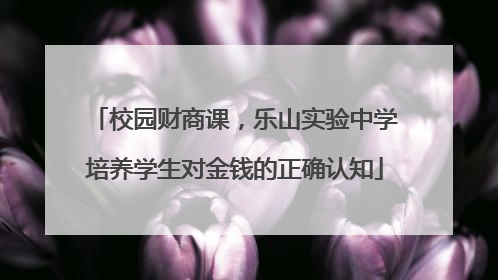 校园财商课，乐山实验中学培养学生对金钱的正确认知