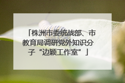 株洲市委统战部、市教育局调研党外知识分子“边颖工作室”