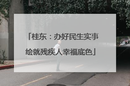 桂东：办好民生实事 绘就残疾人幸福底色