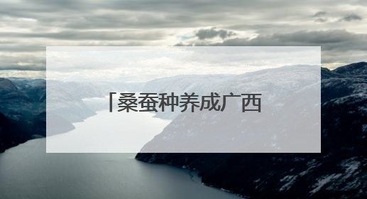 桑蚕种养成广西柳州柳江区民众增收致富特色产业