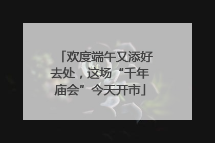 欢度端午又添好去处，这场“千年庙会”今天开市