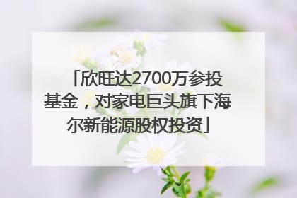 欣旺达2700万参投基金，对家电巨头旗下海尔新能源股权投资