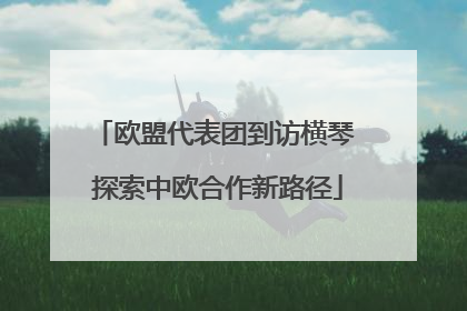 欧盟代表团到访横琴 探索中欧合作新路径