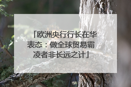 欧洲央行行长在华表态：做全球贸易霸凌者非长远之计