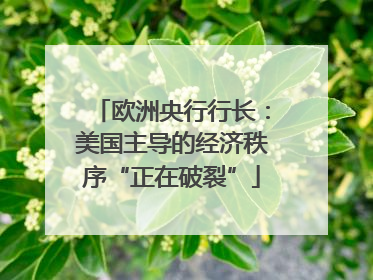 欧洲央行行长：美国主导的经济秩序“正在破裂”