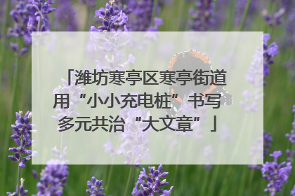 潍坊寒亭区寒亭街道用“小小充电桩”书写多元共治“大文章”