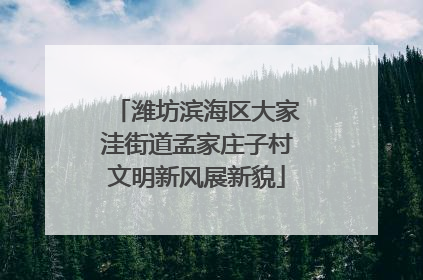 潍坊滨海区大家洼街道孟家庄子村文明新风展新貌