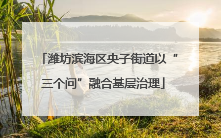 潍坊滨海区央子街道以“三个问”融合基层治理