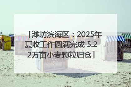 潍坊滨海区：2025年夏收工作圆满完成 5.22万亩小麦颗粒归仓