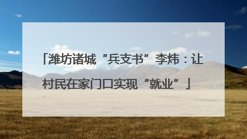 潍坊诸城“兵支书”李炜：让村民在家门口实现“就业”