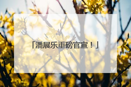 潘展乐重磅官宣！