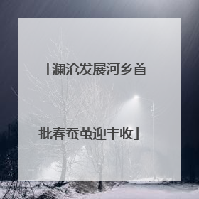 澜沧发展河乡首批春蚕茧迎丰收