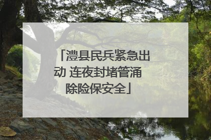澧县民兵紧急出动 连夜封堵管涌除险保安全