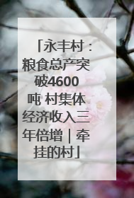 永丰村：粮食总产突破4600吨 村集体经济收入三年倍增｜牵挂的村