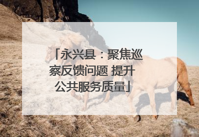 永兴县：聚焦巡察反馈问题 提升公共服务质量