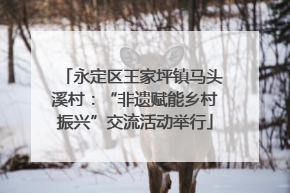 永定区王家坪镇马头溪村：“非遗赋能乡村振兴”交流活动举行