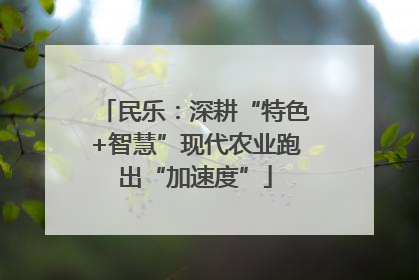 民乐：深耕“特色+智慧”现代农业跑出“加速度”