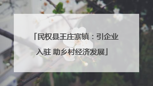 民权县王庄寨镇：引企业入驻 助乡村经济发展