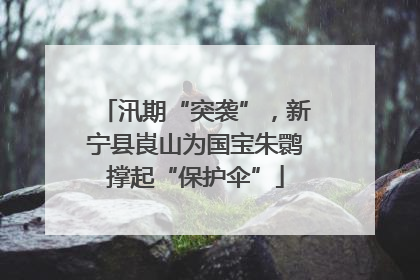 汛期“突袭”，新宁县崀山为国宝朱鹮撑起“保护伞”